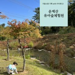 아이폰 13으로 찍은 가을소풍사진 .운제산 유아숲체험원