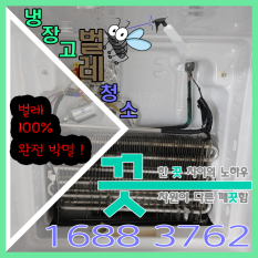 냉장고 벌레 완전 박멸! 청소는 이렇게 해보세요!