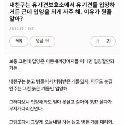 친구가 늙은개만 입양하는 이유