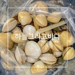 태안낚시펜션 하늘 그리고 바다, 태안가족펜션으로 강추! 태안바다낚시 조개잡이 가능!