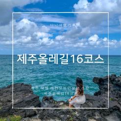 제주 애월해안도로 인생샷 스팟 : 제주올레길 16코스에 이런곳이?