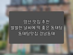 양산 맛집 추천 쌀쌀한 날씨에 딱 좋은 동태탕 동태탕맛집 경남동태