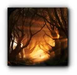 시간표와 커다란 이유, 감사에 대해 존 소포릭의 이야기와 생각공유, 좋은 명언에 대해 알아봅시다