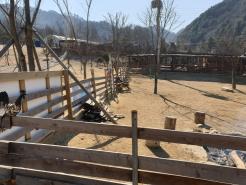 불안할 때 주의를 제어하는 방법