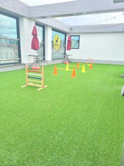 강서구 애견유치원::서울 애견동반 루프탑 바베큐장을 찾는다면 필독으로 모이세요!