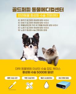 중랑구 신내동 중성화 동물병원 중 강아지 중성화 수술 믿고 맡길 수 있는"동물병원"을 찾으시나요?