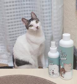 강아지, 고양이샴푸  고양이, 강아지미스트  피부케어 세트 흐음