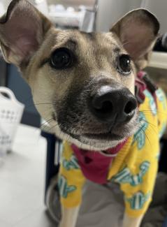 What's in my bag? 내 가방 속 애장품들을 사진과 함께 소개해 주세요!