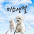 피부가마시는차 티블레스바디클린저