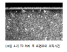 TD Process(TOYOTA DIFFUSION COATING PROCESS)- 개요 및 처리공정