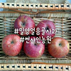 밀양얼음골사과 파는곳 겨울 부사사과 맛있어요 (사과직거래 썬샤인농원)