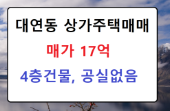 대연동 상가주택 매매 17억