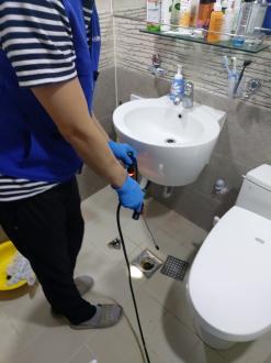 성북구 길음동 바퀴벌레 퇴치, 쥐퇴치,개미퇴치 고민 해결하기!!