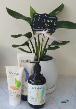 보타랩 슈아멜 바디 모델 전지현  제품 추천