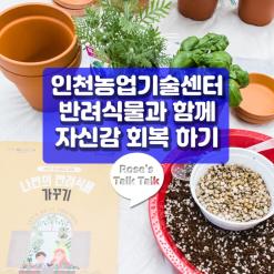 인천광역시 농업기술센터 반려 식물과 함께 하는 심리치유 프로그램