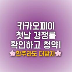 카카오페이 청약 경쟁률