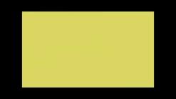 외국인에게 한국욕 가르치기