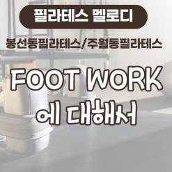 [봉선동필라테스/주월동필라테스] FOOT WORK에 대해서