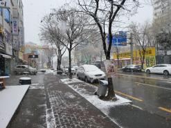 광주 첫눈인데.. 눈이 너무 많이 오네