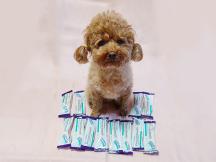 시그니처바이 스토모액트 덴탈케어 덴탈껌