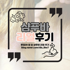 톤28샴푸바 건강한 두피를 위해(후기)