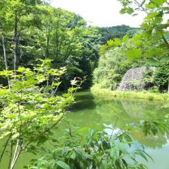 뚜디니의 하동여행 배달성전삼성궁 내돈내산 후기