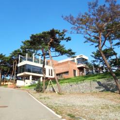뚜디니의 당진 야외카페 카페로우 내돈내산 후기