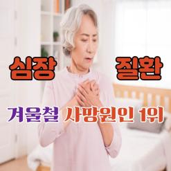 심장질환 급성심근경색 협심증 부정맥 진단비와 치료까지 대비하자