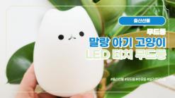 출산선물 말랑 아기 고양이 LED 터치 무드등 (f.어울림)