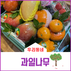 공주시 과일바구니 추천) 과일나무_신관점(ft.내돈내산)