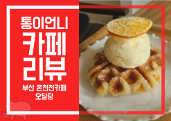 부산 카페] 바삭한크로플과 함께 온천천의 전망을 보며 힐링할수 있는 부산온천천카페 오달당 ! (강아지 출입가능 카페)