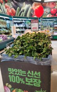 전주 홈플러스 효자점 장보기 (휴무일, 키즈카페)