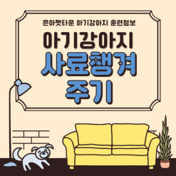 아기강아지 사료 챙겨주는 법 :: 은아펫타운