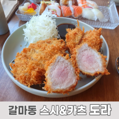 갈마동 식당 : 돈까스 초밥 맛집 도라