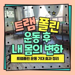 시간순삭 트램폴린 점핑 운동을 소개합니다. (물금점핑 물금다이어트 점핑다이어트)