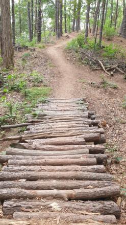 흐린 일요일 동네 뒷산 등산? 산책하기