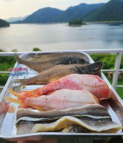 캠핑요리 추천 메뉴 가자미 붕장어 열기 생선구이 굽는 법