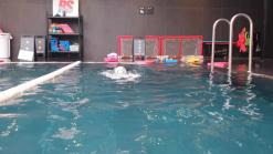 종로구 디팰리스스포츠클럽 어린이 수영 레슨