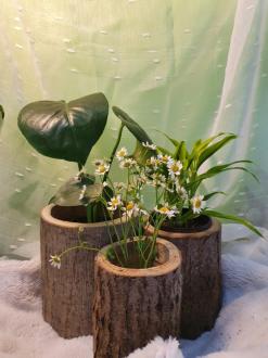 화분쇼핑몰 통무리 에서 집안분위기 바꿔봐요