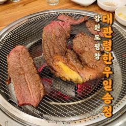 강원도 평창 한우 송어회 맛집 : 평창 대관령한우 일송정