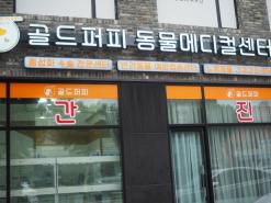 노원구동물병원 중성화 수술 이곳에서 결정했어요