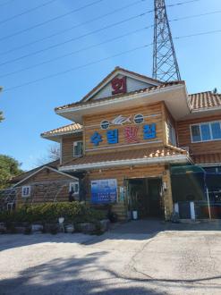 부산 기장 야외등 스트링라이트 조명