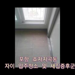 포항효자지곡동입주청소새집증후군