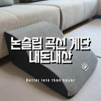 강아지 논슬립 곡선 계단 내돈내산 후기