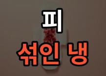 피섞인냉 도대체 무엇 때문에?