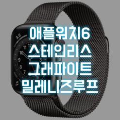 애플워치6 스테인리스 그래파이트 밀레니즈루프 40mm 구매 후기 (GPS, 셀룰러)