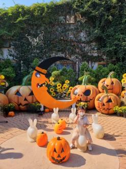 [대구 네이처파크]대구 아기랑 가볼만한 동물원 식물원/ 할로윈페스티벌 할인이벤트는 덤/네이처파크 할인받기 및 구경 팁