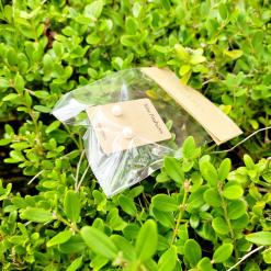 금침귀걸이 수아벨 데일리귀걸이로 깔끔하고 상큼