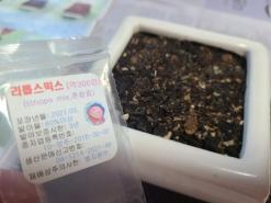 하늘e정원 리톱스씨앗 믹스 300립 새로운 파종법을 배우다 (후기 178st, 21.9.11)