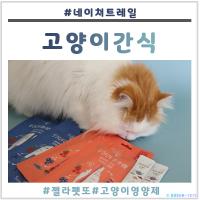 고양이간식 사랑하는 우리 애기 시원하게 간식먹자!